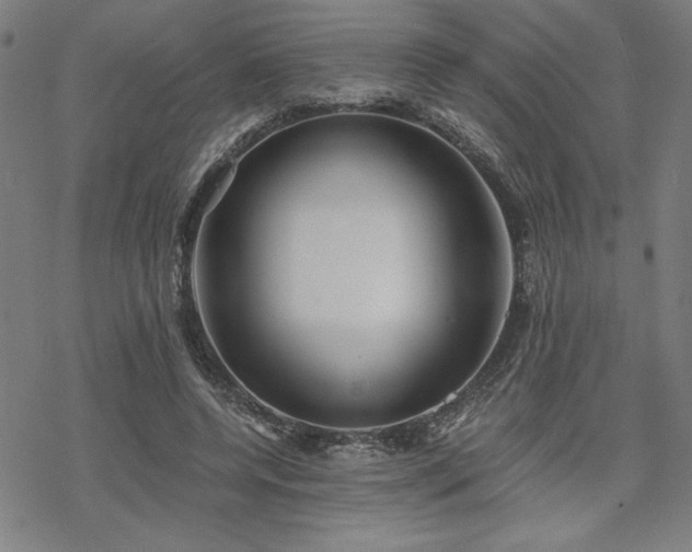 X0000068830544200605051239