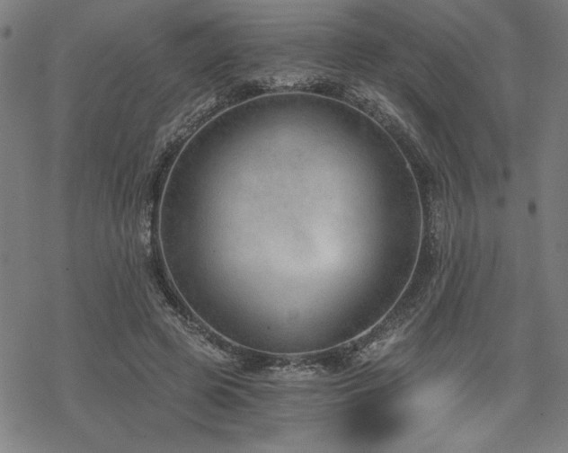 X0000068830545200605051239