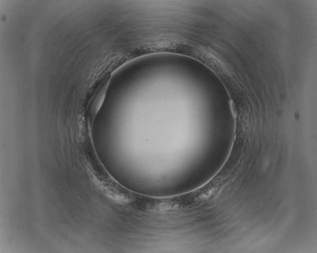 X0000068830546200605051239