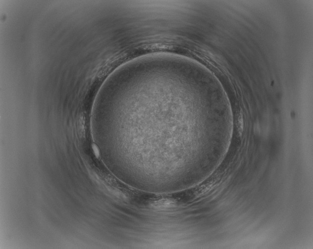 X0000068830551200605051239