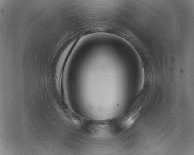 X0000068830552200605051239