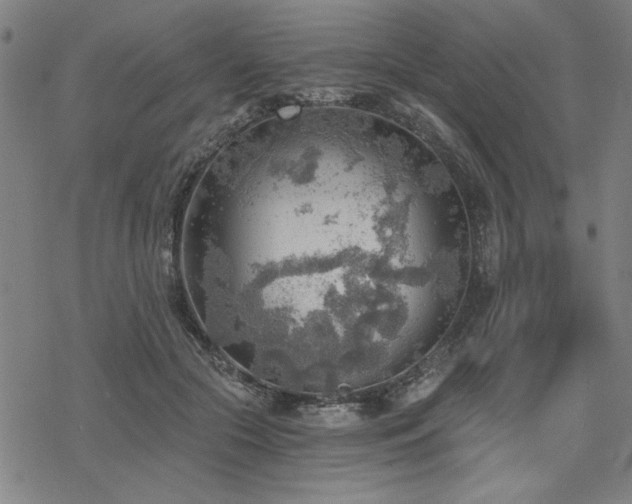 X0000068830553200605051239