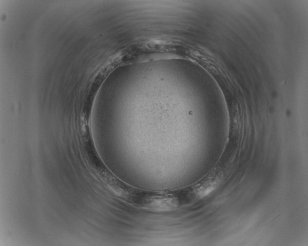 X0000068830555200605051239