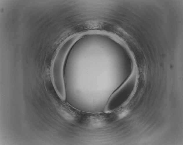 X0000068830556200605051239