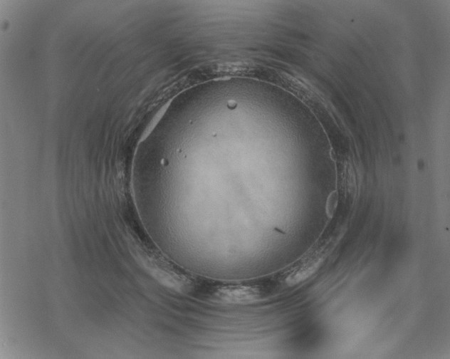 X0000068830557200605051239