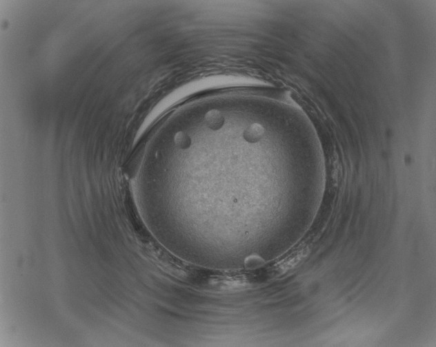 X0000068830559200605051239