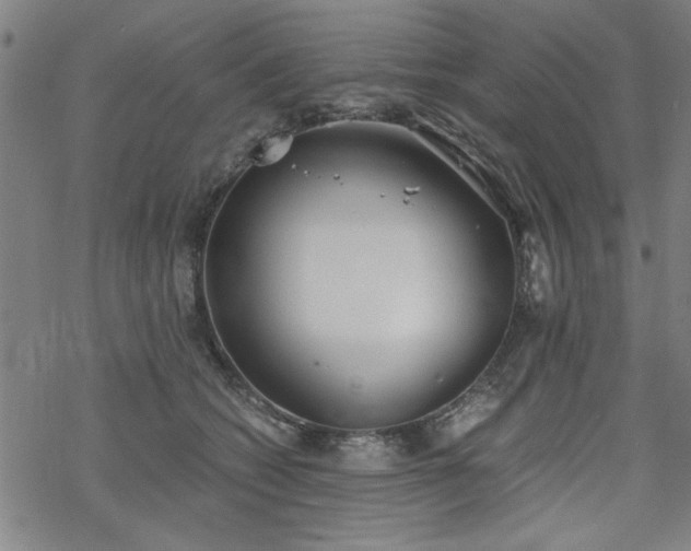 X0000068830562200605051239