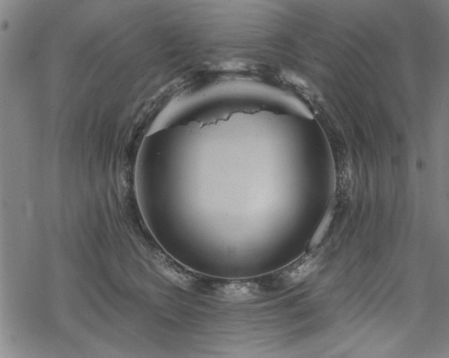 X0000068830566200605051239