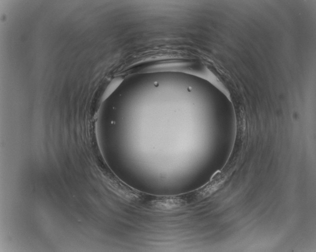 X0000068830567200605051239