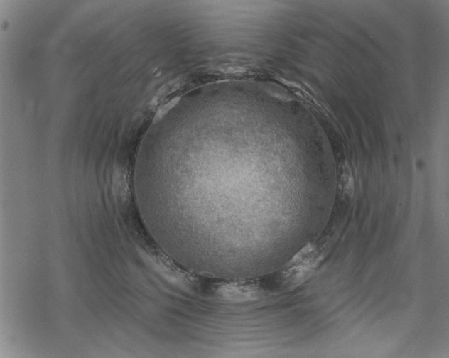 X0000068830568200605051239