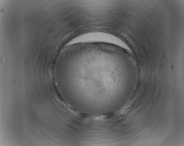 X0000068830569200605051239