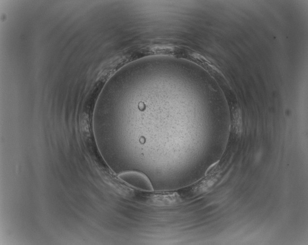 X0000068830571200605051239