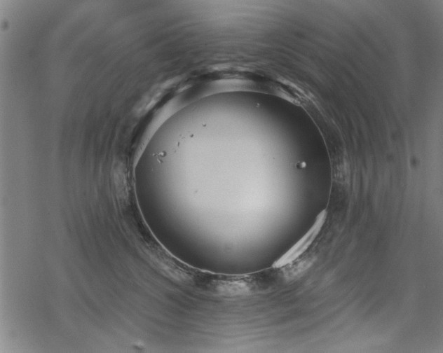 X0000068830572200605051239