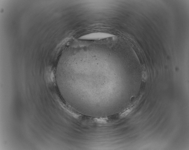 X0000068830573200605051239