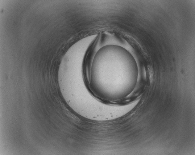 X0000068830574200605051239