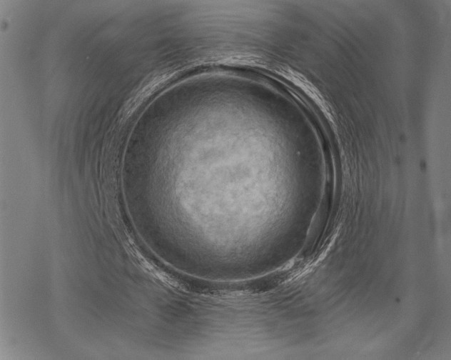 X0000068830577200605051238