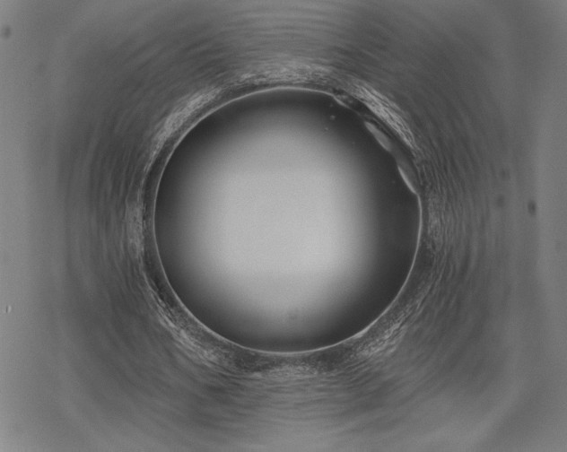 X0000068830578200605051238