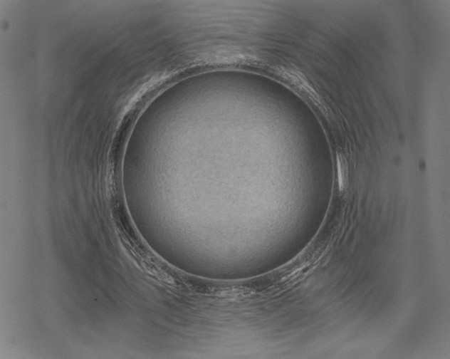 X0000068830579200605051238