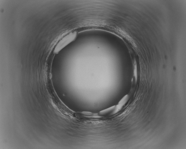 X0000068830580200605051238