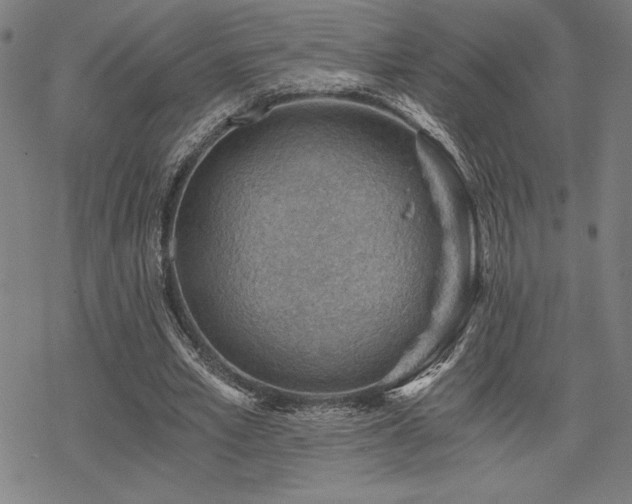 X0000068830581200605051238