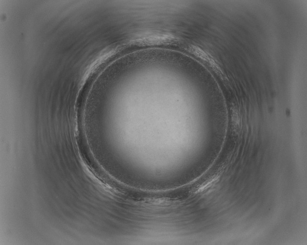 X0000068830582200605051238