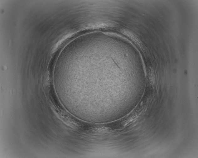 X0000068830583200605051238