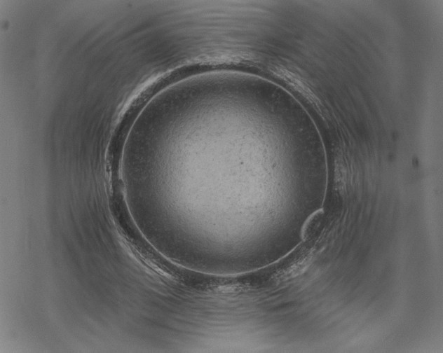 X0000068830584200605051238