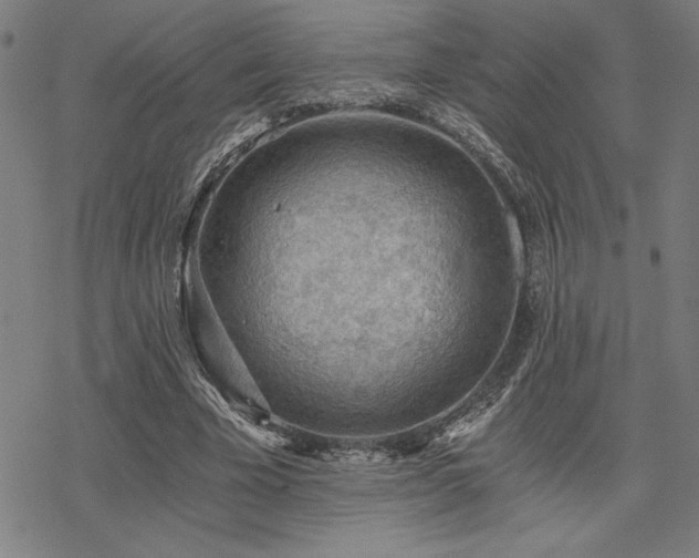 X0000068830585200605051238