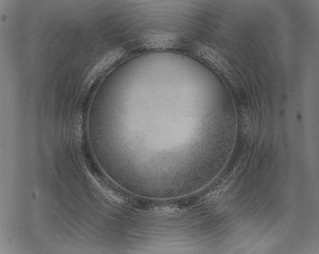 X0000068830586200605051238