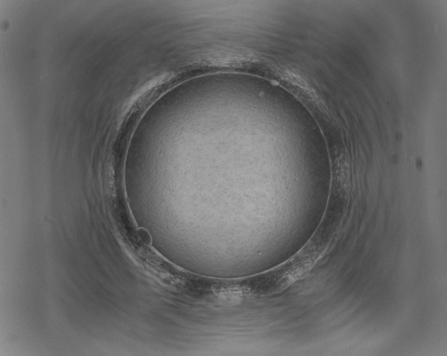 X0000068830587200605051238