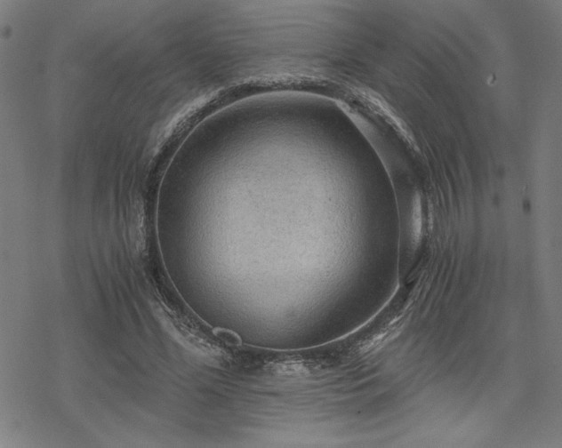 X0000068830588200605051238