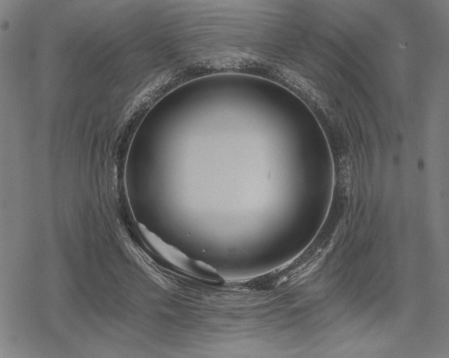 X0000068830589200605051238