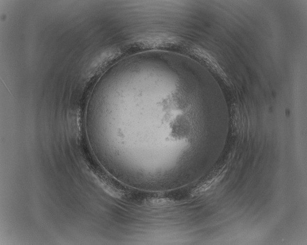 X0000068830590200605051238