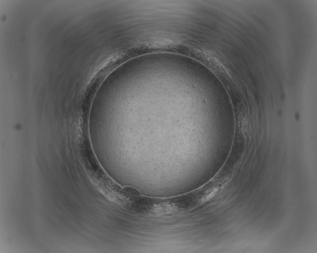 X0000068830591200605051238