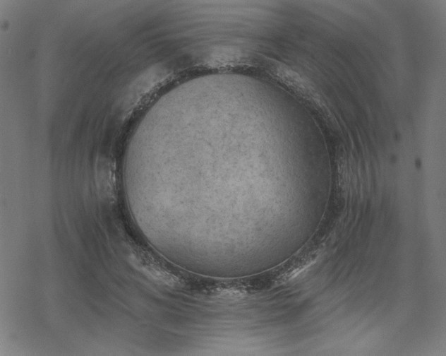 X0000068830592200605051238