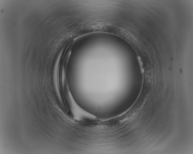 X0000068830593200605051238