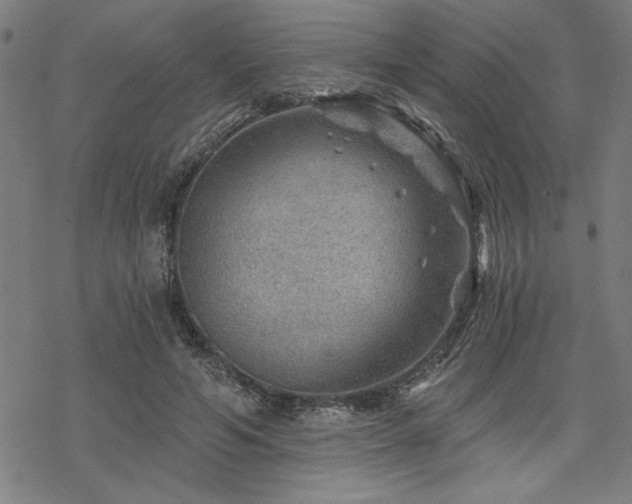 X0000068830594200605051238