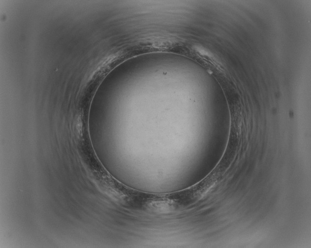 X0000068830595200605051238