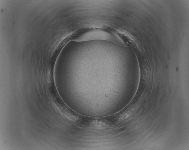 X0000068830596200605051238