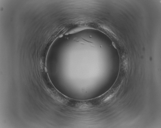 X0000068830597200605051238