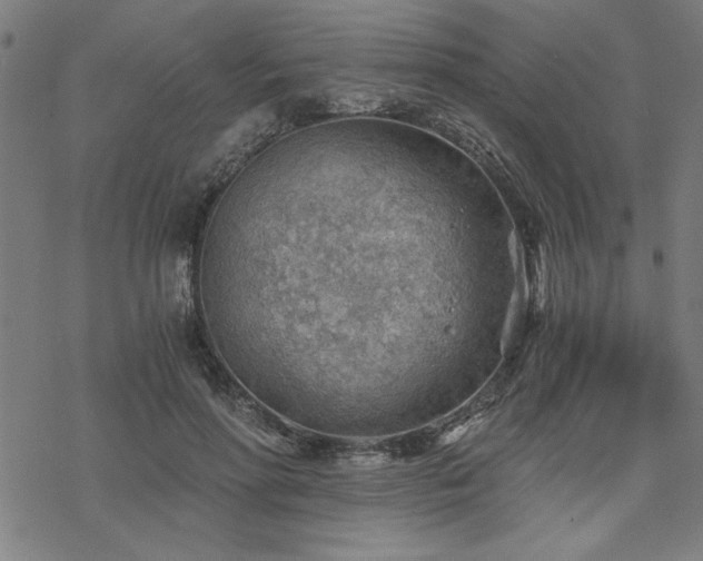 X0000068830598200605051238