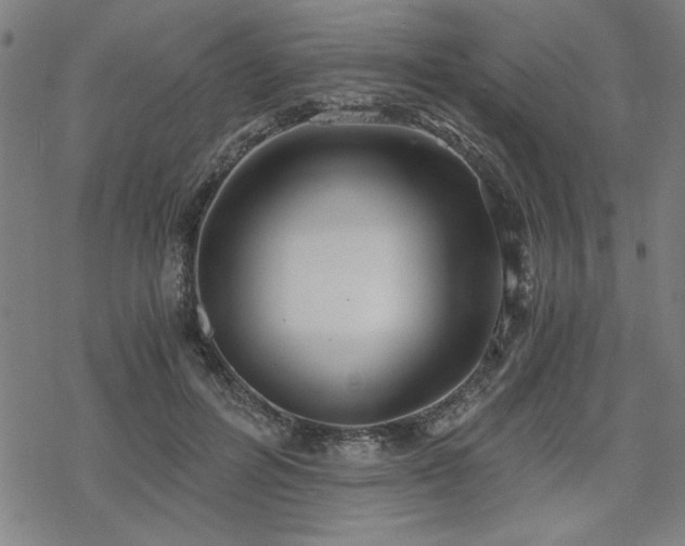 X0000068830600200605051238