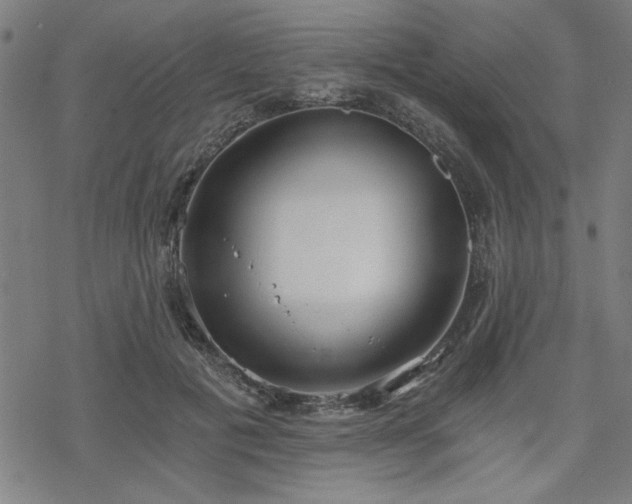 X0000068830601200605051238