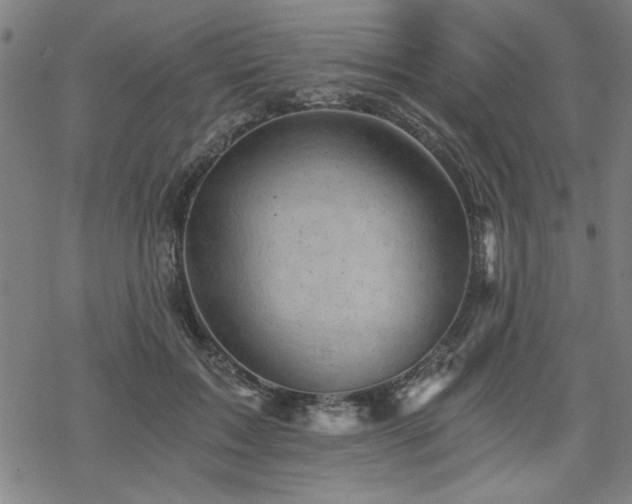 X0000068830603200605051238