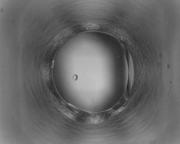 X0000068830604200605051238