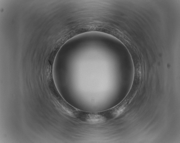 X0000068830605200605051238