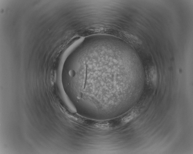 X0000068830606200605051238