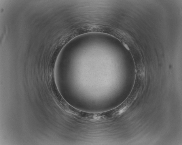 X0000068830607200605051238