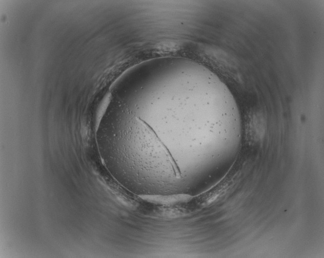 X0000068830608200605051238