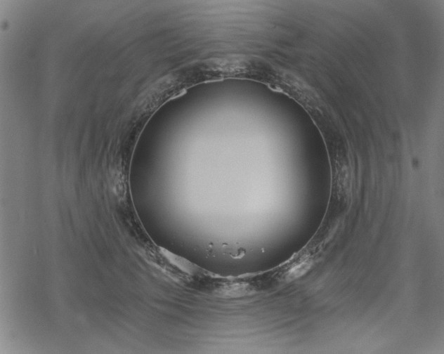 X0000068830609200605051238